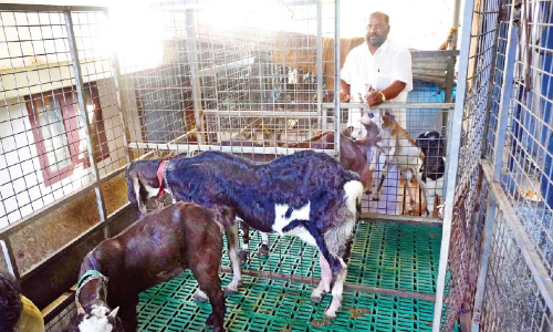 പാഠപുസ്തകം വിട്ട് ആടുപുസ്തകത്തിലേക്ക്