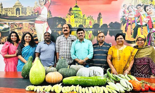 സമൃദ്ധമായി അടുക്കളത്തോട്ടം വിളവെടുപ്പുത്സവം