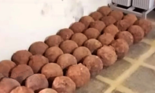 ടിപ്പു കോട്ടയിൽ 47 പീരങ്കിയുണ്ടകൾ