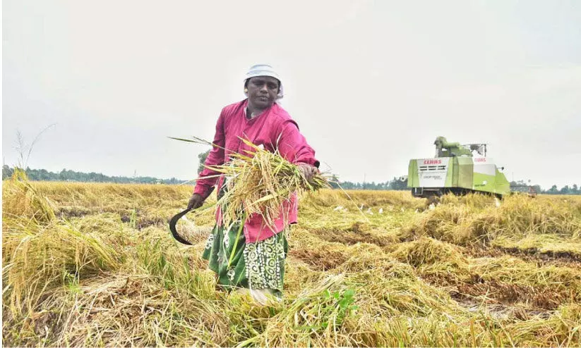 Harvesting Adequate Harvesters are not available
