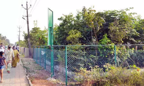 അറബിക്കടലിനോട് കിന്നാരം പറഞ്ഞ് അതിവേഗം വളരുകയാണീ കാട്