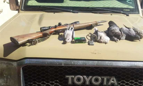 പക്ഷികളെയും മൃഗങ്ങളെയും വേട്ടയാടൽ; കർശന നടപടിയുമായി അധികൃതർ