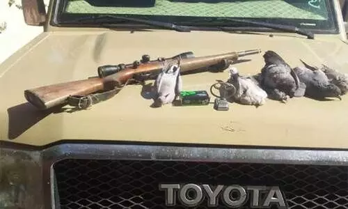 പക്ഷികളെയും മൃഗങ്ങളെയും വേട്ടയാടൽ; കർശന നടപടിയുമായി അധികൃതർ