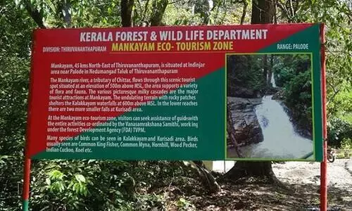 പൊന്മുടി, കല്ലാർ, മങ്കയം ഇക്കോടൂറിസം കേന്ദ്രങ്ങളിൽ വെള്ളിയാഴ്ച മുതൽഓൺലൈൻ ടിക്കറ്റിംഗ്