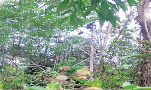 The young man climbed to the top of the tower intoxicated Suicide threat