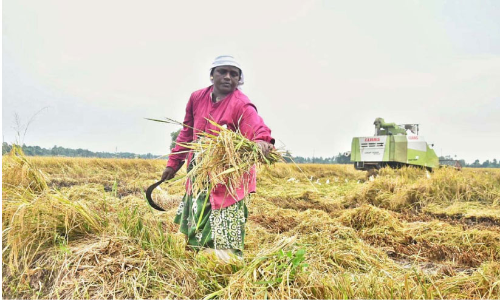 Harvesting Adequate Harvesters are not available