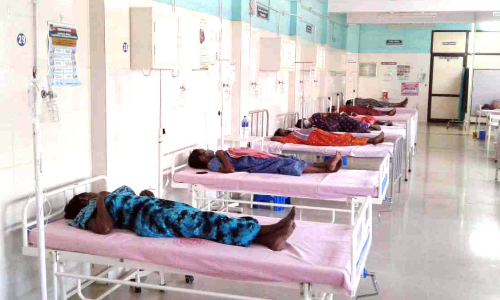 തൊഴിലുറപ്പ് തൊഴിലാളികളെ തേനീച്ച ആക്രമിച്ചു; 13 പേർക്ക് കുത്തേറ്റു തൊഴിലുറപ്പ് തൊഴിലാളികളെ തേനീച്ച ആക്രമിച്ചു; 13 പേർക്ക് കുത്തേറ്റു