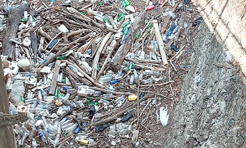 തെ​ന്മ​ല ഡാ​മി​ൽ വ​ൻ​തോ​തി​ൽ പ്ലാ​സ്റ്റി​ക് മാ​ലി​ന്യം അ​ടി​ഞ്ഞു​കൂ​ടു​ന്നു