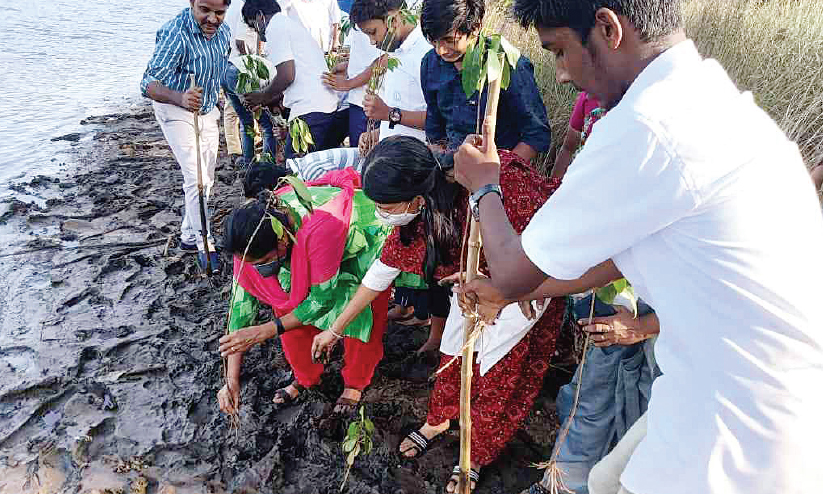 തീരസംരക്ഷണം: കൊച്ചു കണ്ടൽവനം ഒരുക്കി വിദ്യാർഥികൾ തീരസംരക്ഷണം: കൊച്ചു കണ്ടൽവനം ഒരുക്കി വിദ്യാർഥികൾ
