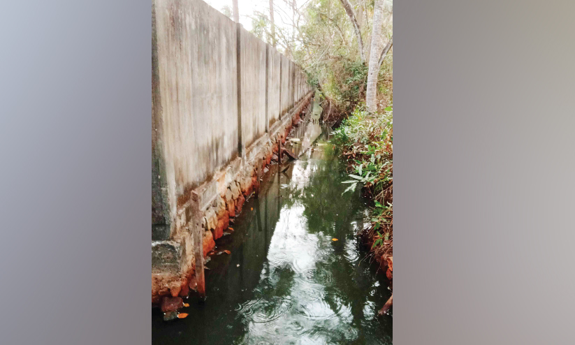 ചെ​ന്തു​രു​ത്തി ചാ​ൽ നിറം മാറിയൊഴുകുന്നു