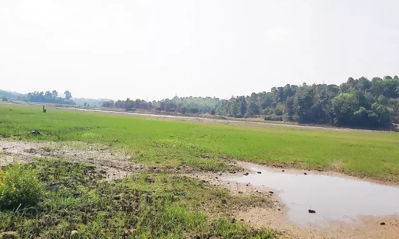 Farmers mourn coming from Aranmula field