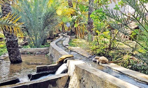 ശഹീൻ: 26 ഫലജുകളുടെ നിർമാണം പുരോഗമിക്കുന്നു