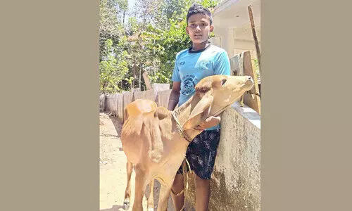 Akshay Siju is a pet friend