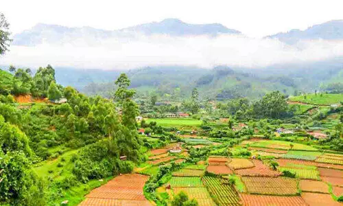 Agriculture Minister visit vattavada