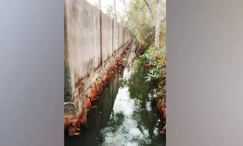 ചെ​ന്തു​രു​ത്തി ചാ​ൽ നിറം മാറിയൊഴുകുന്നു