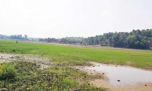 Farmers mourn coming from Aranmula field