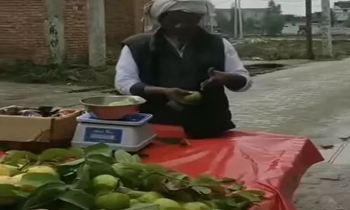 കച്ച ബദാം തരംഗത്തിന് വിരാമം; ഇനി പേരക്ക മുത്തശ്ശന്‍റെ മനോഹര ഗാനം