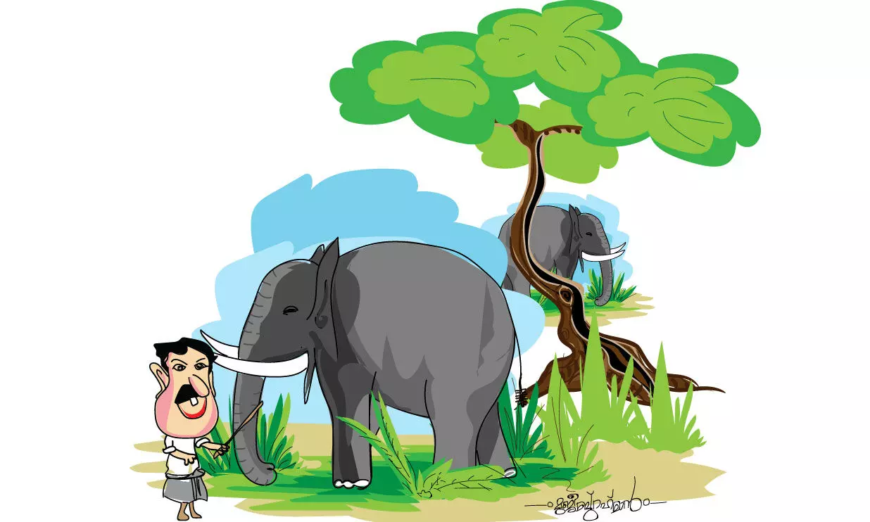 ശിവരാത്രി ഉത്സവത്തിനിടെ ആനകൾക്ക് വ്യാപക പീഡനം ശിവരാത്രി ഉത്സവത്തിനിടെ ആനകൾക്ക് വ്യാപക പീഡനം