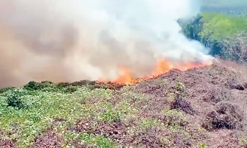 മങ്കയത്ത് വീണ്ടും കാട്ടുതീ; നാല് ഏക്കർ കത്തിനശിച്ചു
