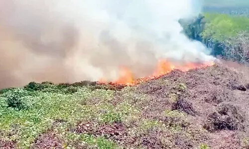 മങ്കയത്ത് വീണ്ടും കാട്ടുതീ; നാല് ഏക്കർ കത്തിനശിച്ചു