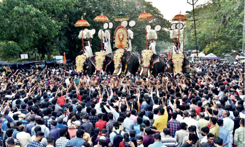 പൂരത്തിൽ പൂത്ത് പാലക്കാട്