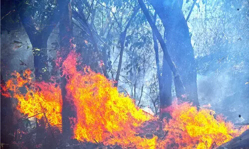 താവക്കരയിൽ പാളത്തിന് സമീപം തീപിടിത്തം