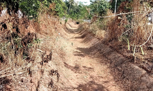 ജലക്ഷാമം രൂക്ഷം: കനാൽ ക്ലീൻ, ഇനിയെങ്കിലും കുടിവെള്ളം കിട്ടുമോ...
