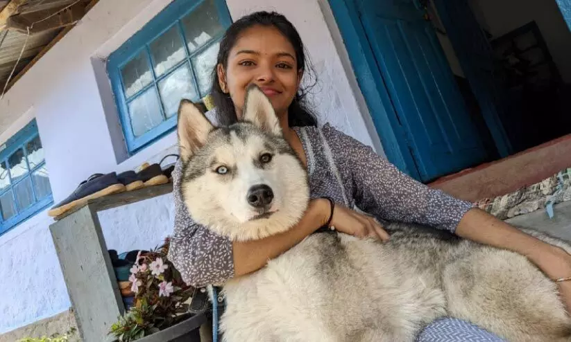 arya and saira dog arya and saira dog