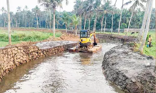 wembly panambelithodu cleaning