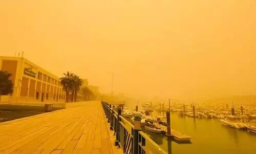 ശക്തമായ പൊടിക്കാറ്റ്; ജനജീവിതത്തെ ബാധിച്ചു ശക്തമായ പൊടിക്കാറ്റ്; ജനജീവിതത്തെ ബാധിച്ചു