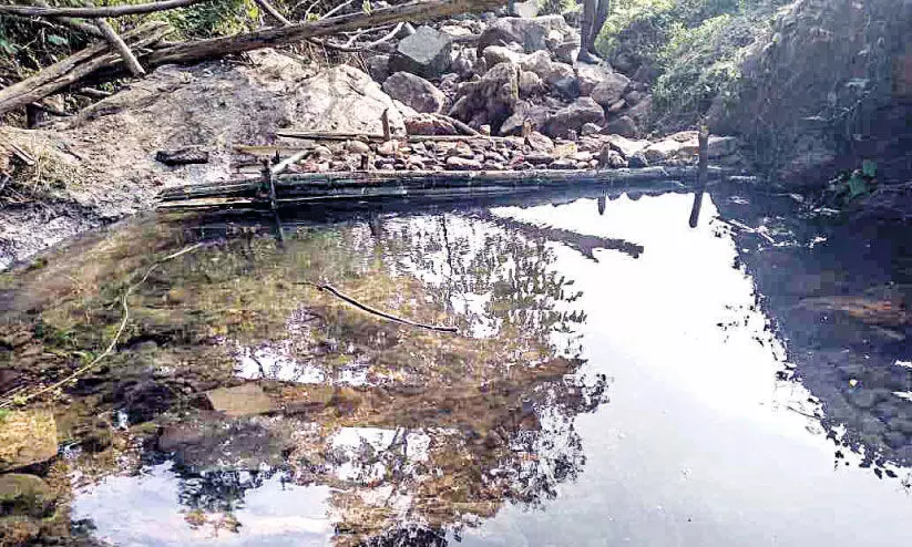 സൈലന്റ് വാലിയിൽ വേനലിനെ നേരിടാന് നടപടികള് വിപുലമാക്കി വനംവകുപ്പ് സൈലന്റ് വാലിയിൽ വേനലിനെ നേരിടാന് നടപടികള് വിപുലമാക്കി വനംവകുപ്പ്