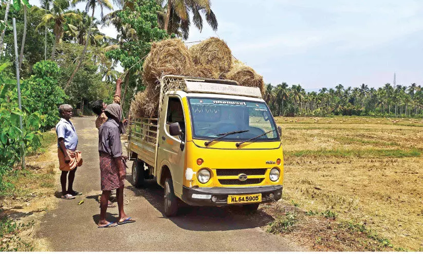 The demand for straw is high