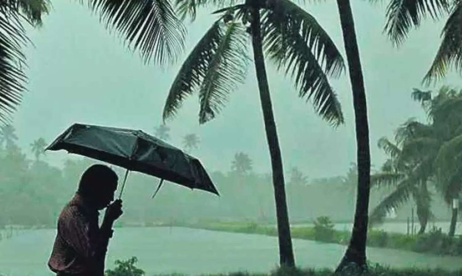 സംസ്ഥാനത്ത് എട്ടുവരെ മഴക്ക്​ സാധ്യത