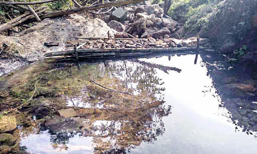 സൈലന്റ് വാലിയിൽ വേനലിനെ നേരിടാന്‍ നടപടികള്‍ വിപുലമാക്കി വനംവകുപ്പ്