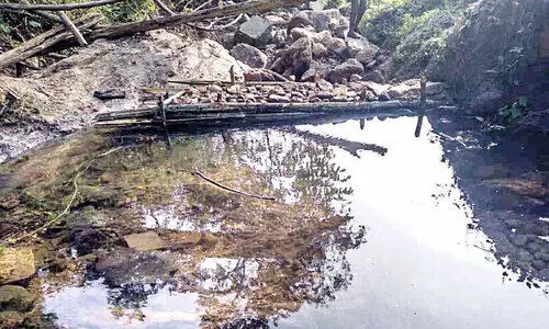 സൈലന്റ് വാലിയിൽ വേനലിനെ നേരിടാന്‍ നടപടികള്‍ വിപുലമാക്കി വനംവകുപ്പ്