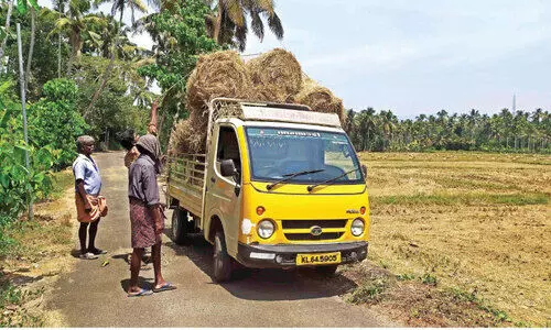 The demand for straw is high