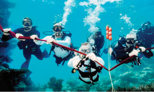ലോകത്തെ ആദ്യ കോറൽ പ്രോബയോട്ടിക്സ് വില്ലേജ് സൗദിയിൽ ലോകത്തെ ആദ്യ കോറൽ പ്രോബയോട്ടിക്സ് വില്ലേജ് സൗദിയിൽ