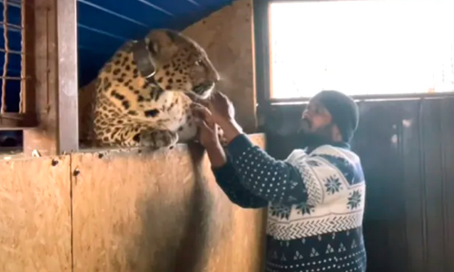 Dr Girikumar Patil jaguar