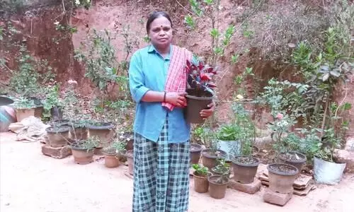 രുഗ്മിണി വിരിയിക്കുന്നു, ഒരായിരം പോസിറ്റിവ് പൂക്കൾ