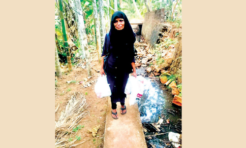 Service Journey to Rukia