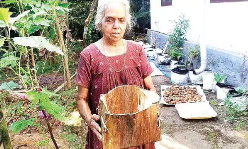 കുട്ടികളുടെ പച്ചക്കറി ടീച്ചർ; നാട്ടുകാർക്ക് കൃഷിപാഠം ടീച്ചർ