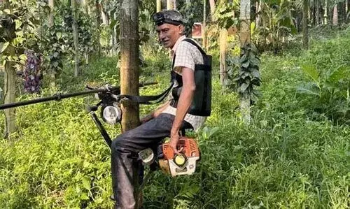 വേഗത്തിൽ മരം കയറുന്ന ട്രീ സ്കൂട്ടർ കണ്ടുപിടിച്ച് കർഷകൻ