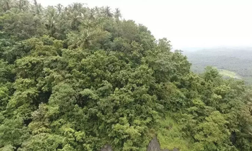 ചെങ്ങോടുമല: പാരിസ്ഥിതികാനുമതി ഇന്ന് പരിഗണിക്കും, തടസ്സഹരജിയുമായി സമരസമിതി