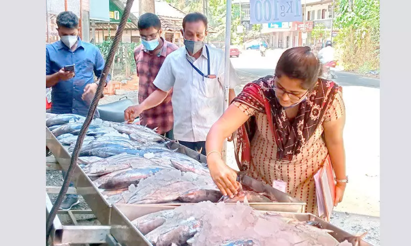 വിപണിയിൽ പഴകിയ മീൻ: വാങ്ങുമ്പോൾ ശ്രദ്ധിക്കാനേറെ...