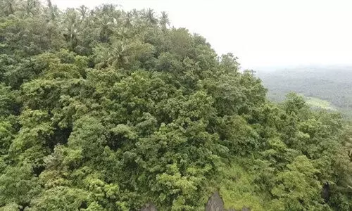 ചെങ്ങോടുമല: പാരിസ്ഥിതികാനുമതി ഇന്ന് പരിഗണിക്കും, തടസ്സഹരജിയുമായി സമരസമിതി