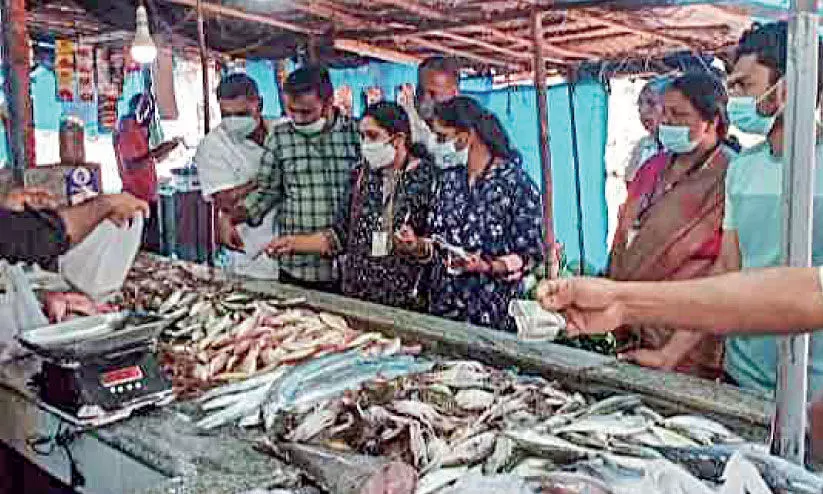 ഗുണമേന്മയില്ലാത്ത മത്സ്യവിൽപന; ഫോർമാലിൻ, അമോണിയ കൂടുതലുള്ള മത്സ്യങ്ങൾ നശിപ്പിച്ചു