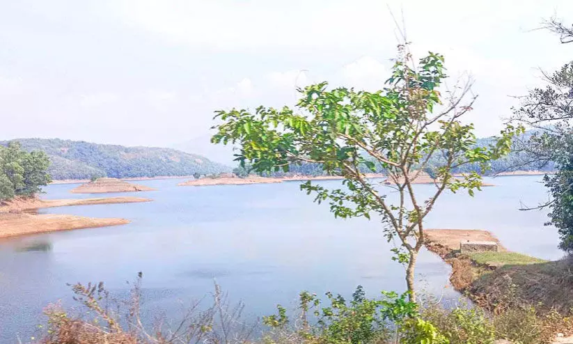 വൈദ്യുതി ഉൽപാദനം മുകളിലേക്ക്; ഡാമുകളിൽ ജലനിരപ്പ് താഴേക്ക്