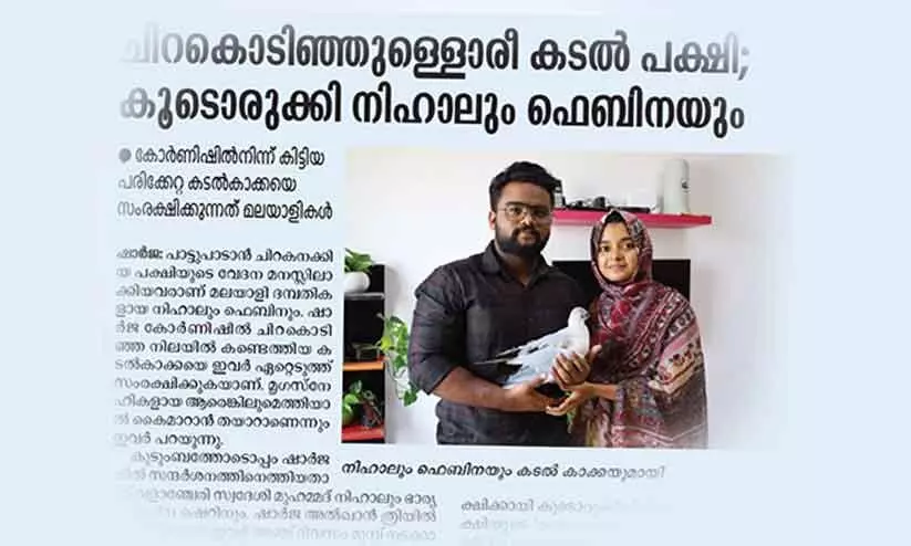 അവശനിലയിൽ കണ്ടെത്തിയ കടൽക്കാക്കയെ കൈമാറി അവശനിലയിൽ കണ്ടെത്തിയ കടൽക്കാക്കയെ കൈമാറി