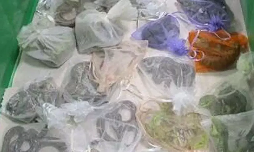 Man arrested for smuggling 52 snakes and lizards under clothing