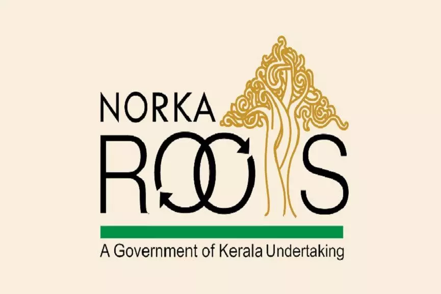 norka roots norka roots